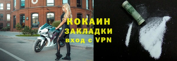 прущая мука Вяземский