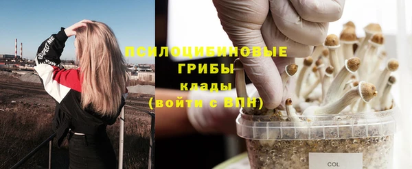 apvp Володарск